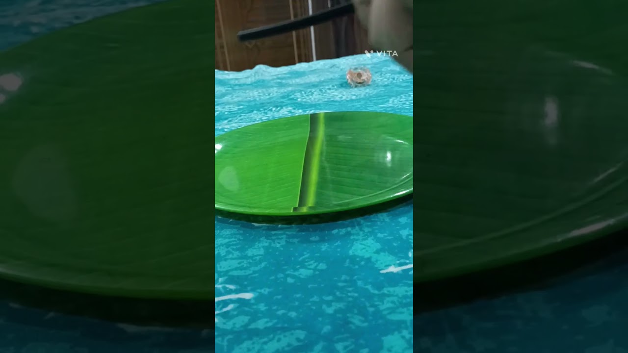 Beblade fight the best fight in he world plastic gen vs burst gen 