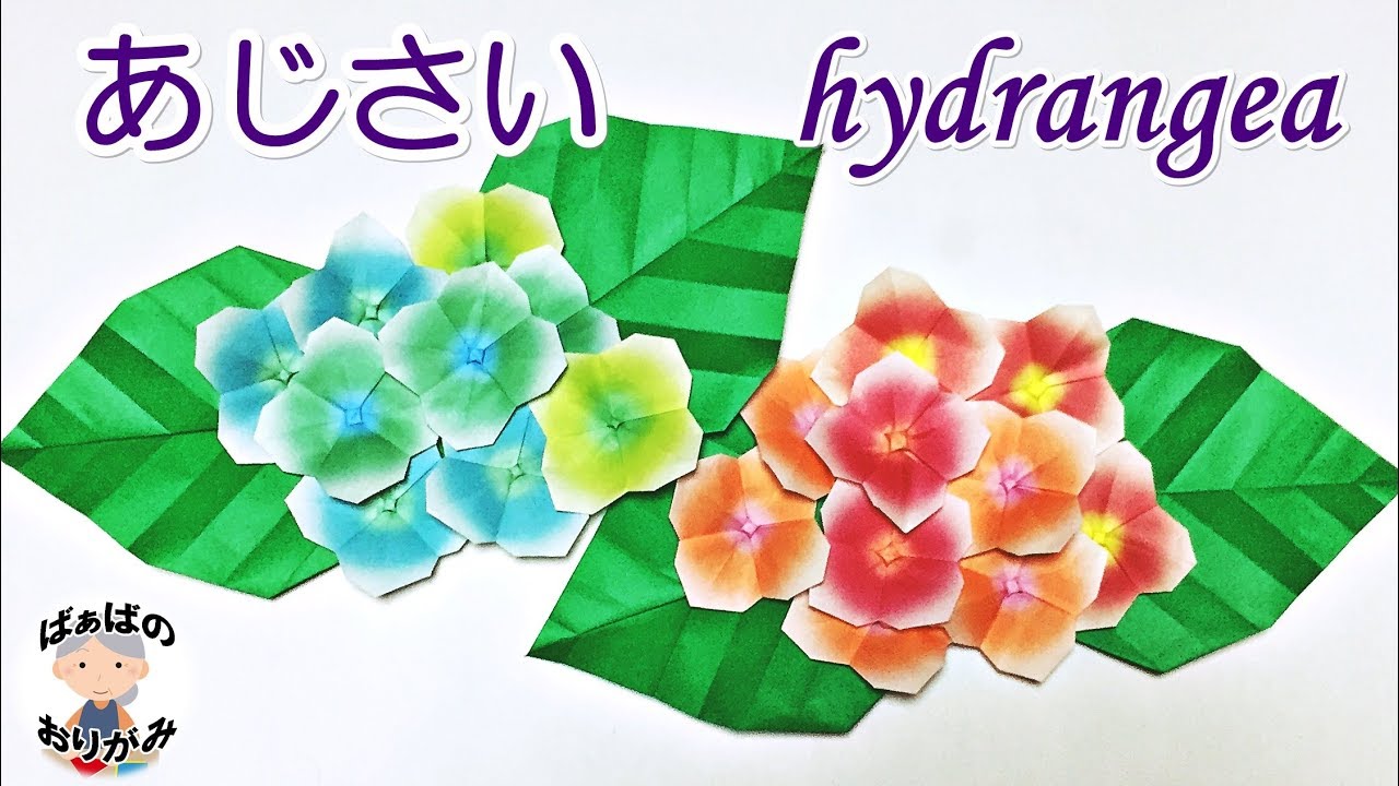 折り紙 あじさいの折り方 音声解説あり Origami Hydrangea 6月梅雨シリーズ 5 ばぁばの折り紙 Youtube