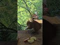Händchen!?