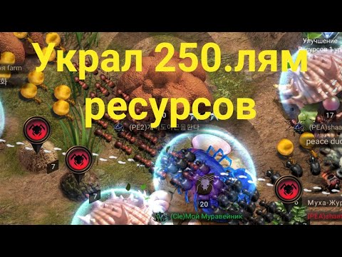 The Ants Грабёж 250.мильон ресурсов за 20.минут быстрый рост!!