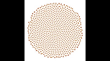 Gray Scott Reaction Diffusion Splintering Growth Pattern