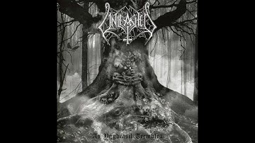 Unleashed - Master of the Ancient Art