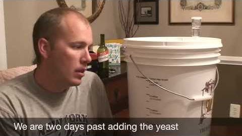 Making Pinot Noir from a kit - Part 2: Measurements, Racking and Clarifying