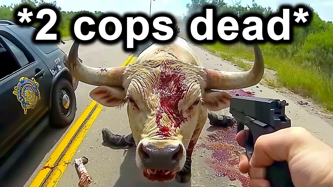 When Cops Had To Attack Dangerous Animals