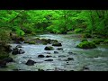 الهاشمي ڨروابي في إحدى كنوزه، عرس [REMIX HQ]