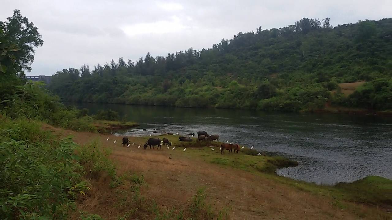 How nice  Nature of India