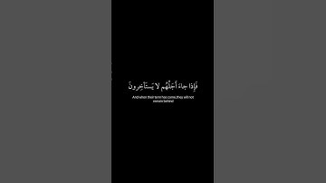 ولو يؤاخذ الله الناس بظلمهم ] كروما قران شاشه سوداء - القارئ عبدالرحمن مسعد #كرومات_قرآن #quran