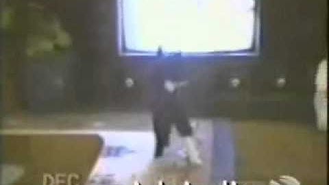 One More Funny Cats Compilation [from www.metacafe.com].wmv