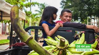 Calamar realizará mercado campesino este fin de semana