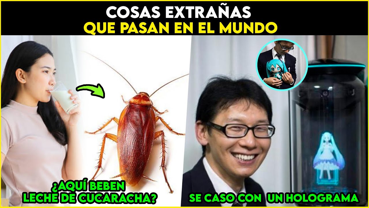 Cosas extrañas que pasan en el mundo. - YouTube