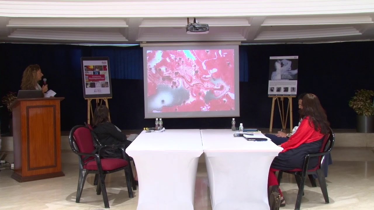 Fluid Painting, Moving Canvas: Making Art In A Precarious World