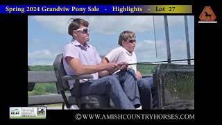 2024 Spring Grandview Pony Sale