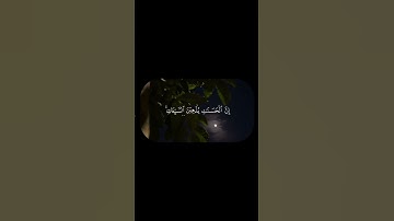 أكتب شيء تؤجر عليه #سورة_هود #القارئ_عبدالله_الواصلي #اكسبلور #القرآن_الكريم