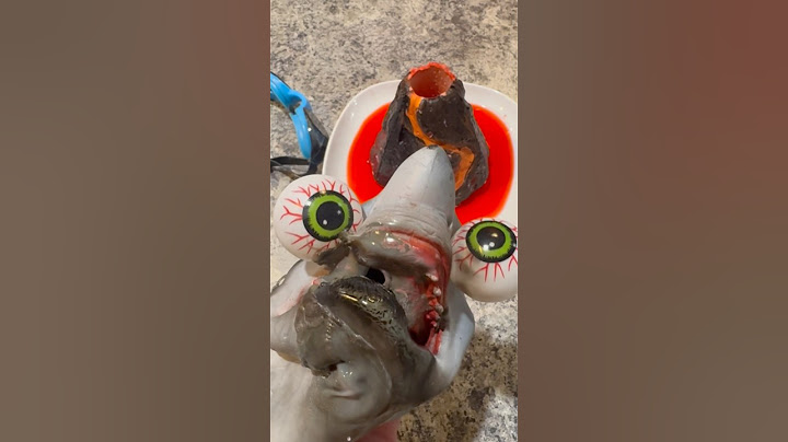 SHARK PUPPET GETS INCINERATED!