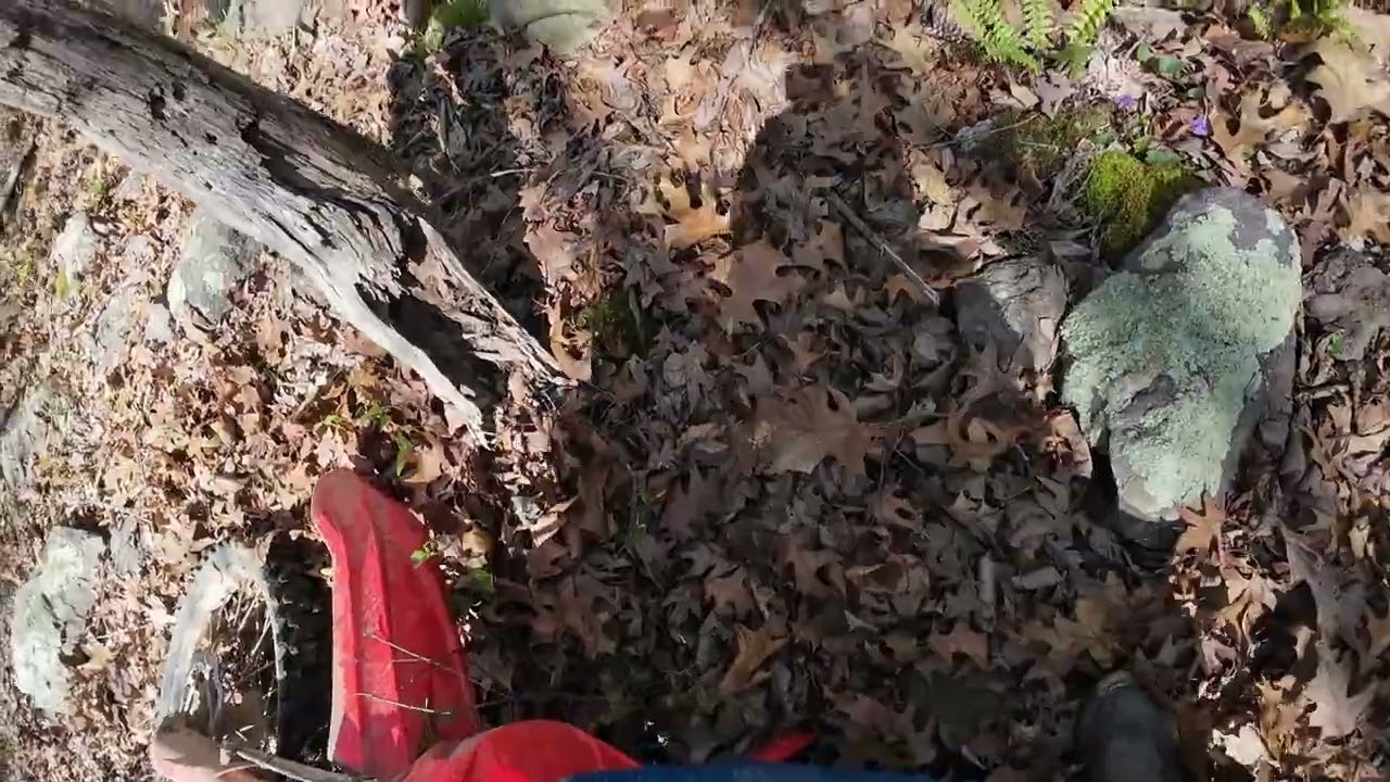 Pivotal Decisions and Other Problems 