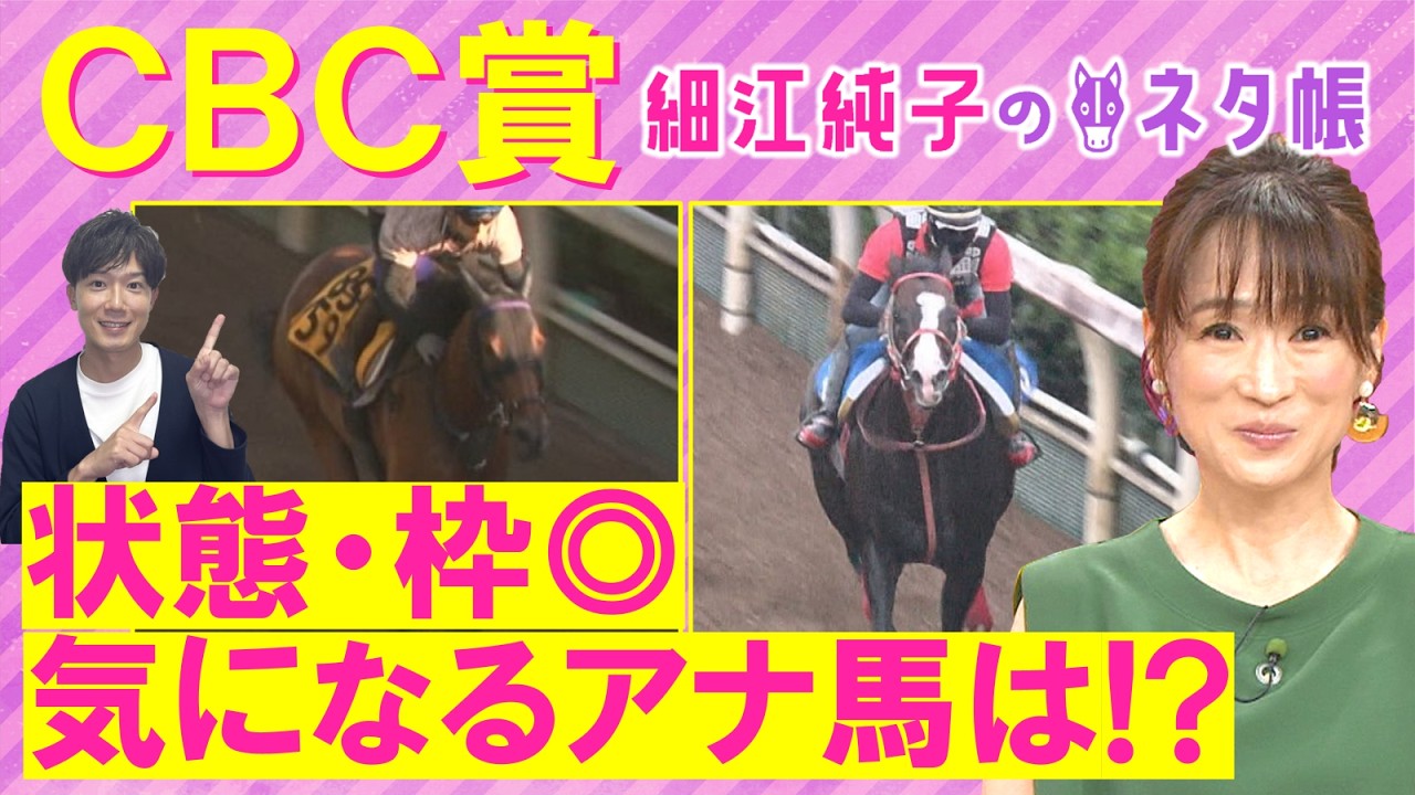 関連動画1