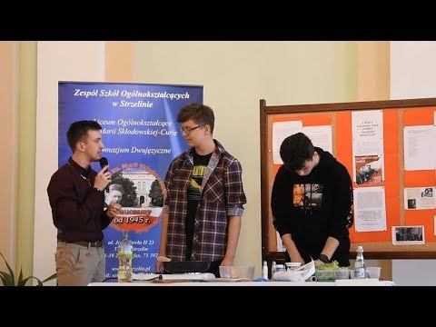 Szkolny Festiwal Talentów