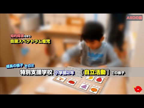 自閉症児｜成長の様子(8～10歳)【特別支援学校 No.2/3】自立活動・勉強