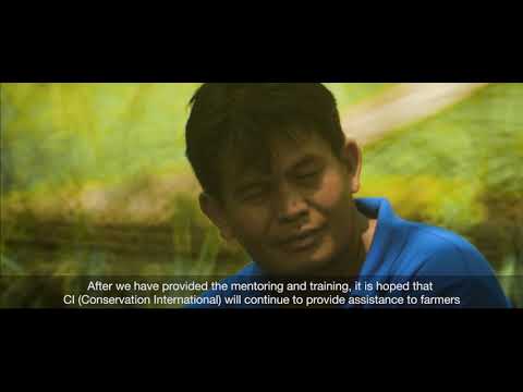 UNDP SPOI - Farmer Support System