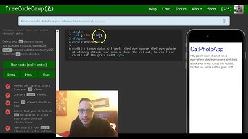 Use CSS Selectors to Style Elements, freeCodeCamp review html & css