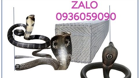 BÁN LỒNG BẪY RẮN LƯỚI 8 LI. BÁN BẪY RẮN CHỐNG RỈ SÉT.