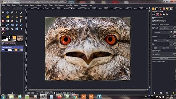 Gimp  red-eye removal