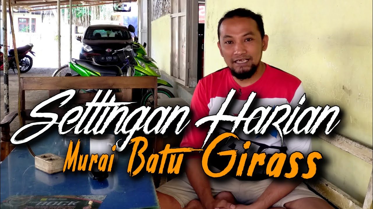 проверенные ЕЖЕДНЕВНЫЕ НАСТРОЙКИ ДЛЯ МУРАИ БАТУ ГИРАС