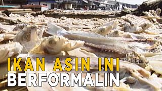 Ikan asin formalin | JELANG SIANG