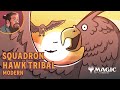 🦅🦅Squadron Hawk Tribal 🦅🦅 Modern MTG Gameplay & Deck Tech | Much Abrew About Nothing