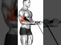 biceps workout at home 🔥🔥 no inquerment #youtubeshorts #explorepage #motivation