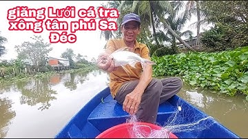 Khai trương xuồng lưới mới,giăng lưới cá trả sông hòa tân | vui miền tây vlog
