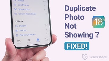 Duplicate Photo Not Showing On iOS 16 2022