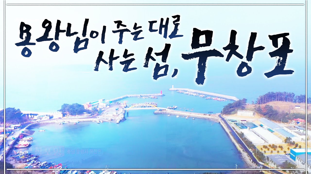 주꾸미가 잘 안잡혀요~ 용왕님이 주는대로 먹고 사는거죠~ ㅎㅎ 항상 고맙지만 고맙다는 말 잘 못혀요... 부끄럽잖아요 #무창포 #주꾸미 #부부 #섬