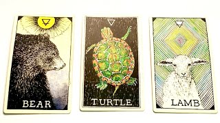🔮 Your next chapter | Timeless Messages | pick a card reading