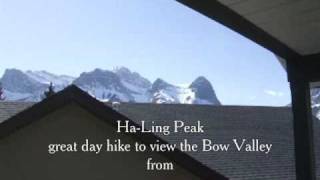 Eagles Nest Breakfast and Patio Tour bed and breakfast Canmore Alberta, Where Eagles Fly Bed Breakfast
