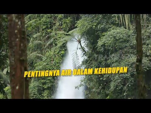 Video: Di atas air sangat penting bagi kehidupan?