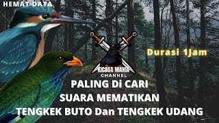 SUARA MEMATIKAN!! Masteran Tengkek Buto Vs Tengkek Udang || Kicau Mania Channel