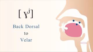 [ ɣʲ ] voiced unaspirated palatalized dorsal velar fricative