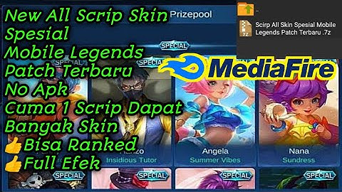 Scrip All Skin Spesial Mobile Legends Patch Beatrix No Apk
