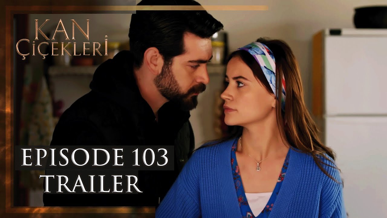 Kan cicekleri 415. Kan cicekleri 415