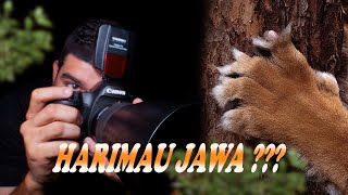 Yang Terekam Ini 𝙃𝘼𝙍𝙄𝙈𝘼𝙐 Atau 𝙈𝘼𝘾𝘼𝙉 𝙏𝙐𝙏𝙐𝙇 Jawa ?? | penelusuran