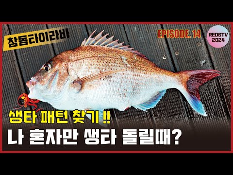 참돔타이라바 - 나 혼자 생타이 돌릴 때? 패턴 찾는 과정!