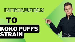 Introduction to Koko puffs - strain@itscbdbro151 @fancbd.Den1 @EndocaCBD