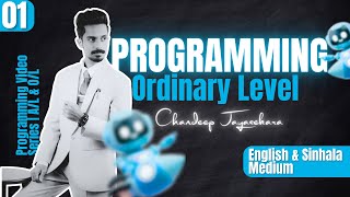 Grade 11 ICT Programming | Part - 1