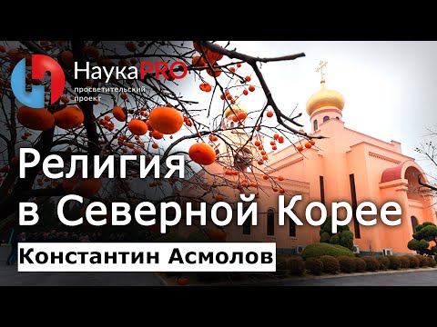 Капуста: Многоликий Овощ | Интересные факты про капусту