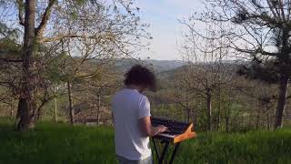 Hillscapes #1 // Ambient improv on #moog #sub37