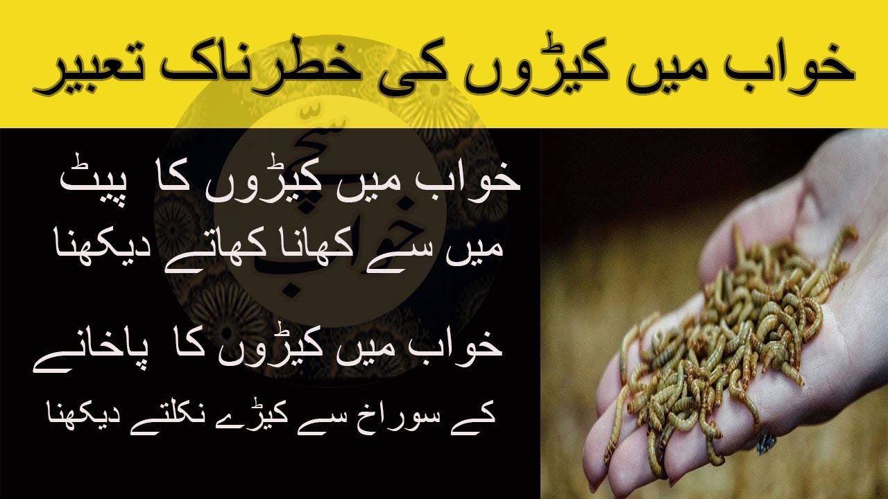 Keeray Khwab mein keeray dekhna || khwab mein keeray makoray dekhna || khwab ...
