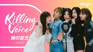 에이핑크Apink의 킬링보이스를 라이브로! – Mr. Chu, NoNoNo, 1도 없어, D N D, LUV, 덤더럼, 몰라요, Remember, U You 딩고뮤직