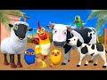 El pollito y el Tractor de la Granja de Zenón de la Vaca Toro y del Pollito la