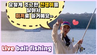 [ENG SUB]호주 시드니 최고 생활낚시 포인트에서 전갱이 생미끼 낚시(Feat. 펭귄) Little Manly Live Bait Fishing - Sydney fishing